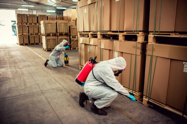 Pest Prevention Services in Somerville, NJ