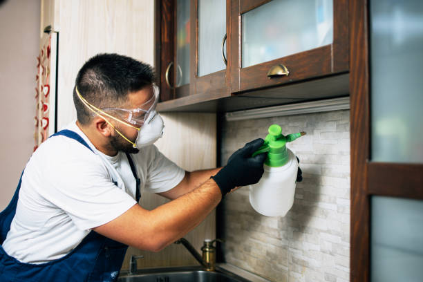 Best Mosquito Control Services  in Somerville, NJ