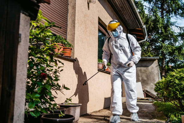 Best Emergency Pest Control  in Somerville, NJ