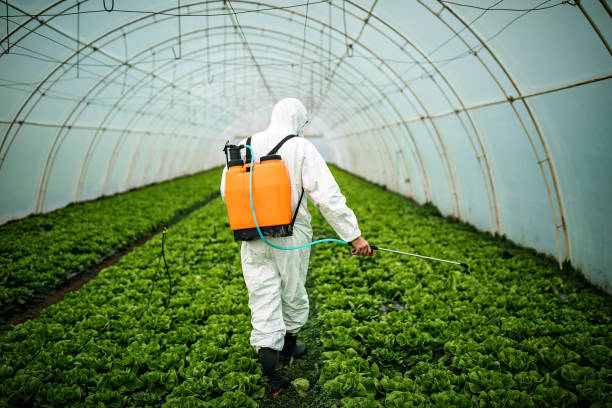 Best Local Pest Control Services  in Somerville, NJ