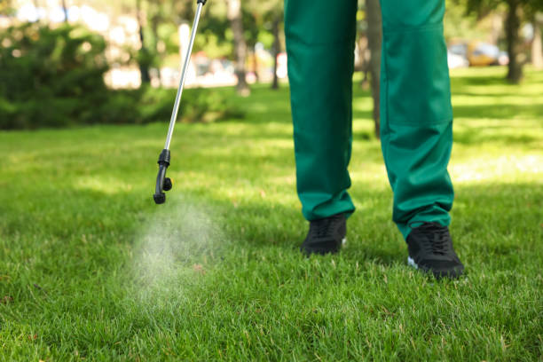 Best Emergency Pest Control  in Somerville, NJ
