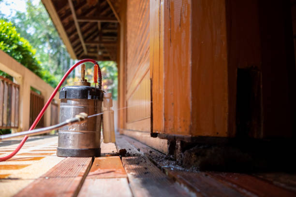Best Best Pest Control Companies  in Somerville, NJ