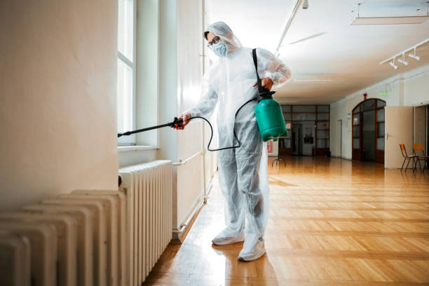 Best Local Pest Control Services  in Somerville, NJ