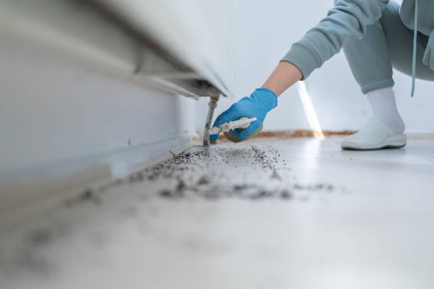 Best Cockroach Control Services  in Somerville, NJ
